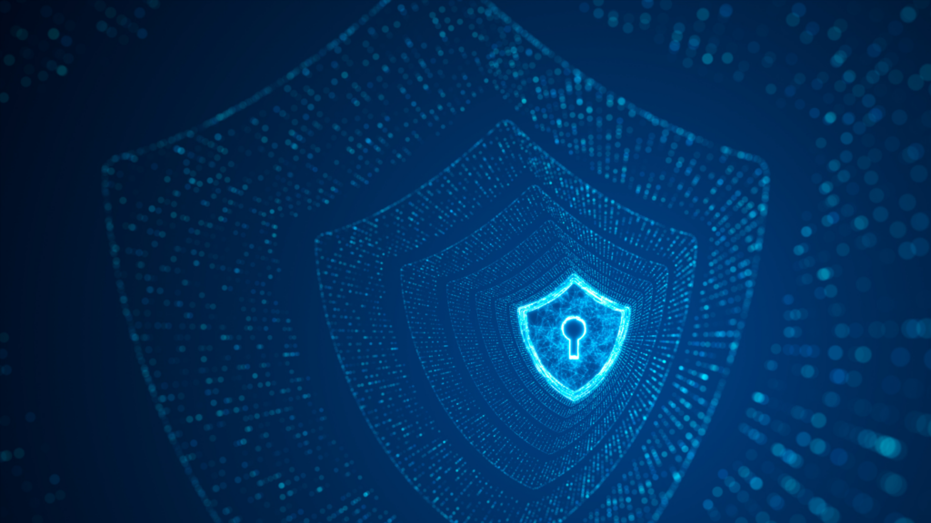 Paradyn Vulnerability Management