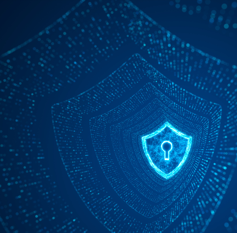 Paradyn Vulnerability Management